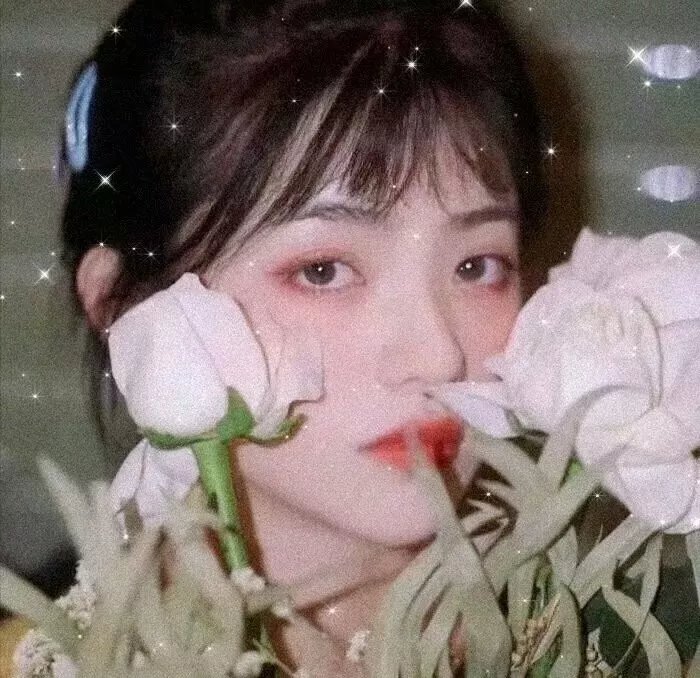 王子的本命是反派大小姐